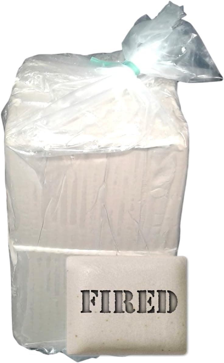 Ceramic Clay - Pottery Clay for Potters (25 lb, Best Mix Plus Cone 10)